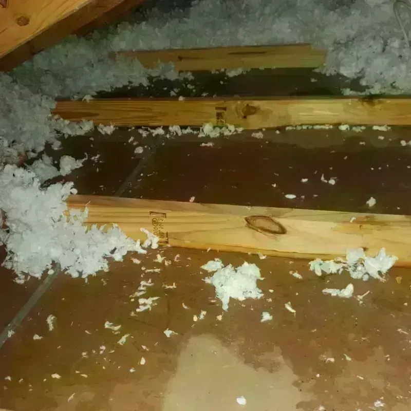 Attic Water Damage in Centre, AL